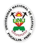 Atlético Nacional de Pucallpa logo