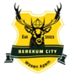 Berekum City logo