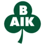 Bergnäsets logo