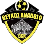 Beykoz Anadolu logo