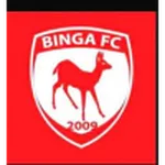 Binga logo