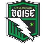 Boise logo