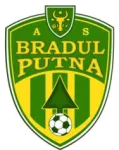 Bradul Putna logo