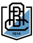 Branik logo