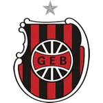 Brasil DE Pelotas logo