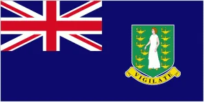 British Virgin Islands W logo