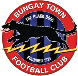 Bungay Town logo