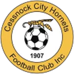 Cessnock City Hornets logo