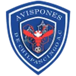 Chilpancingo logo