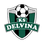 Delvina logo