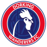 Dorking Wanderers W logo