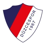 Düzcespor logo