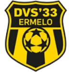 DVS 33 Ermelo logo