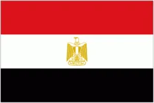 Egypt W logo