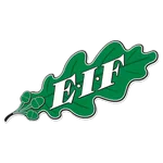 EIF II