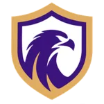 Falcon U17 logo