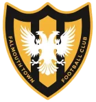 Falmouth Town logo