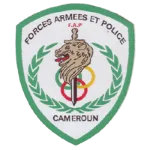 FAP logo