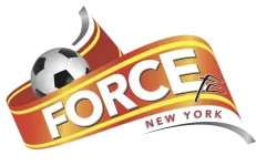 Force New York logo