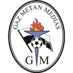 GAZ Metan Medias logo
