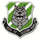 Geležinis Vilkas logo