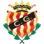 Gimnastic logo