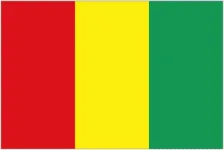 Guinea logo