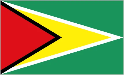 Guyana W logo
