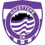 Hacettepe Spor logo
