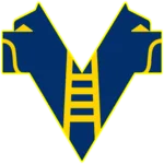 Hellas Verona U20 logo