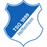 Hoffenheim U19 logo