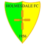 Holmesdale logo