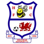 Holyhead Hotspur logo