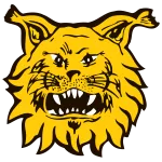 Ilves IV logo