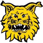 Ilves logo