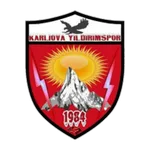 Karlıova Yıldırım logo