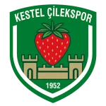 Kestel Çilek logo