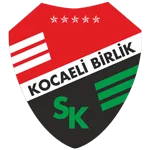 Kocaeli Birlikspor logo