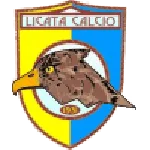 Licata logo