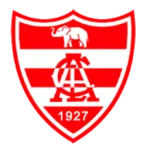 Linense U20 logo