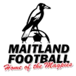 Maitland logo