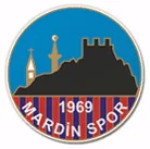 Mardinspor logo