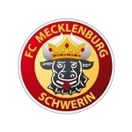 Mecklenburg Schwerin logo