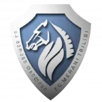 Merani Tbilisi logo