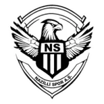 Nazilli Spor logo
