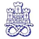 Newcastle Town logo