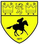 Newmarket Town logo