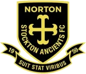 Norton & Stockton logo
