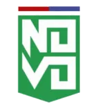 Novo Esporte Clube logo