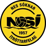 NSI Runavik logo
